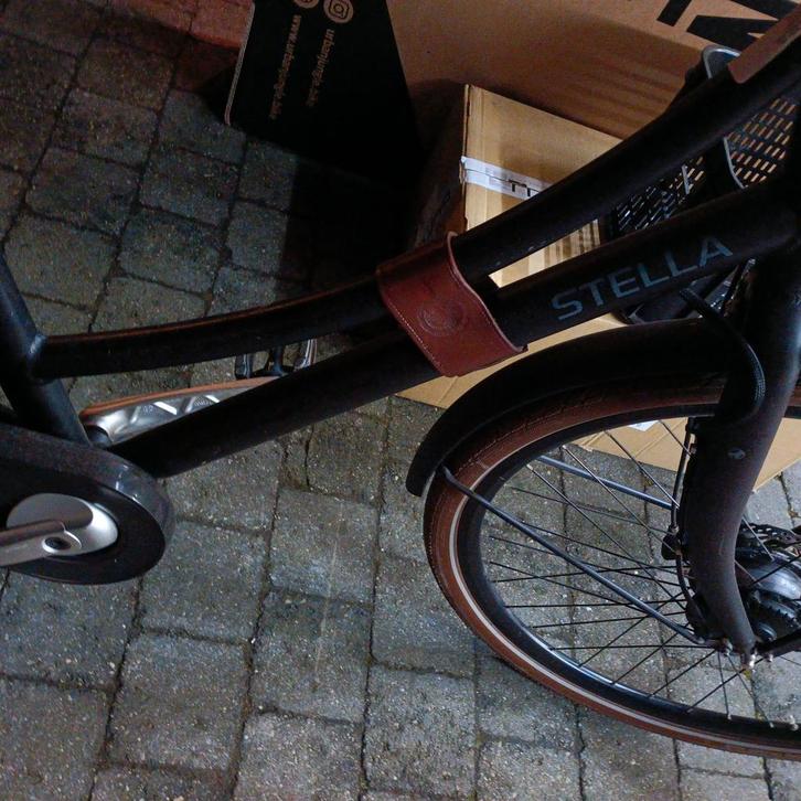 Electrische fiets, Fietsen en Brommers, Elektrische fietsen, Ophalen