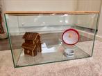 Mooie glazen hamster kooi, compleet met toebehoren, Dieren en Toebehoren, Ophalen, Zo goed als nieuw, Kooi, Hamster