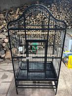 Grote en stevige papegaai kooi, Dieren en Toebehoren, Vogels | Hokken en Kooien, Ophalen of Verzenden, Gebruikt, Aluminium, Vogelkooi