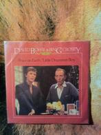 45T David. Bowie and Bing Crosby, Cd's en Dvd's, Ophalen of Verzenden