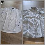 Herenhemden - Large, Kleding | Heren, Overhemden, Tim Moore, Ophalen of Verzenden, Zo goed als nieuw, Halswijdte 41/42 (L)