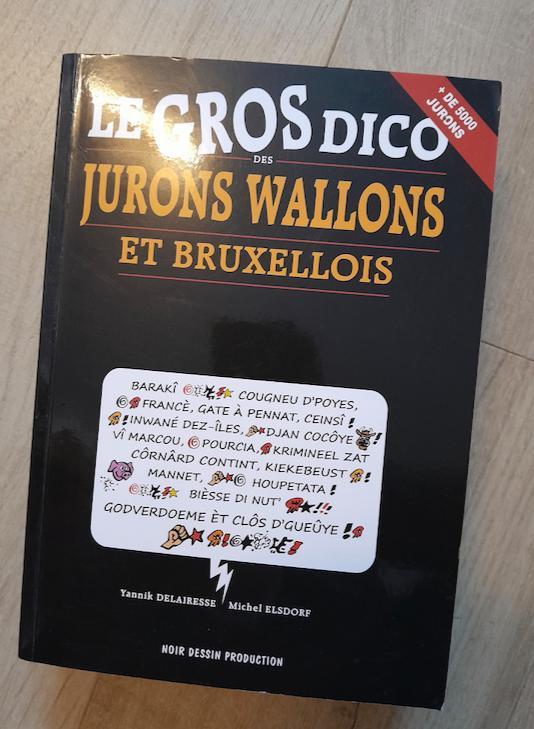 Le gros dico des jurons wallons et bruxellois, Livres, Dictionnaires, Comme neuf, Français, Enlèvement ou Envoi
