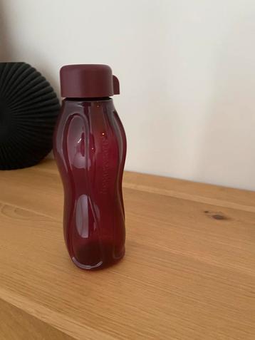 Tupperware ecofles 330 ml, Enlèvement ou Envoi, Neuf