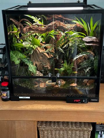 Habistat 60x45x60 beschikbaar voor biedingen
