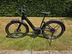 Harley-Davidson Serial 1 City Rush Step-Thru (slecht 57 km), Fietsen en Brommers, Zo goed als nieuw, 50 km per accu of meer, 55 tot 59 cm