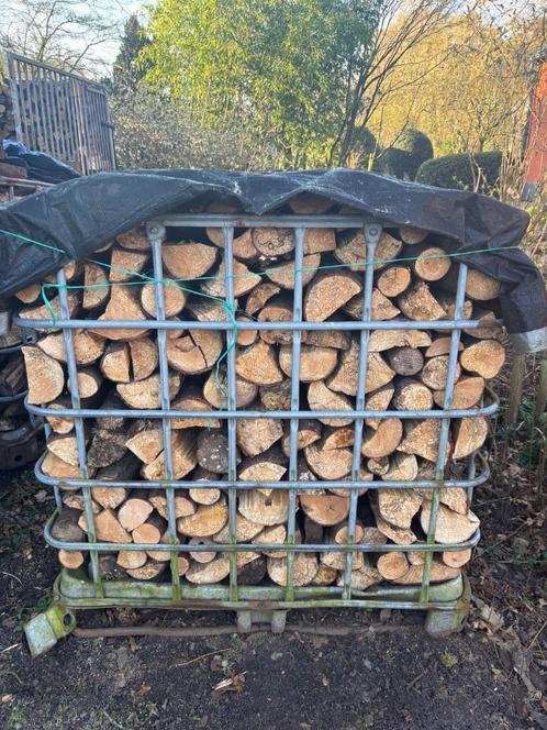 Elzen hout te koop, Tuin en Terras, Brandhout, Blokken, Elzenhout, 6 m³ of meer, Ophalen