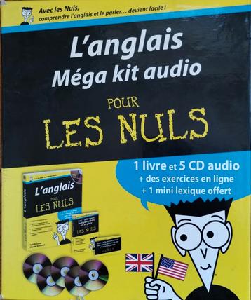 L'Anglais pour les Nuls beschikbaar voor biedingen