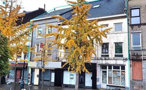 Maison à vendre à Gosselies, 6 chambres, Immo, Huizen en Appartementen te koop, Vrijstaande woning, B
