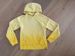 Cars jeans trui maat 164, Kinderen en Baby's, Kinderkleding | Maat 164, Meisje, Trui of Vest, Ophalen of Verzenden, Zo goed als nieuw