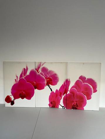 Canvas orchidee