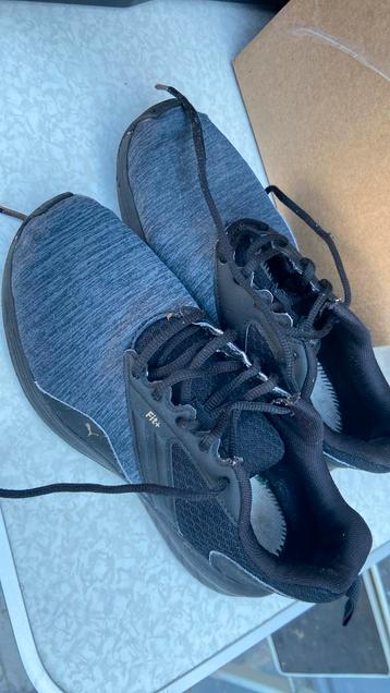 Puma mandje beschikbaar voor biedingen