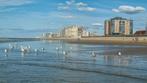 Vakantieappartement op de zeedijk in Oostende Mariakerke, Immo, Oostende