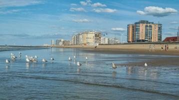 Vakantieappartement op de zeedijk in Oostende Mariakerke, Immo, Oostende