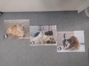 DONNE Calendriers animaux, Divers, Enlèvement ou Envoi, Calendrier mensuel, Neuf