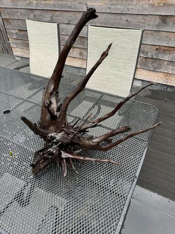 Zeer groot aquarium hout stuk beschikbaar voor biedingen