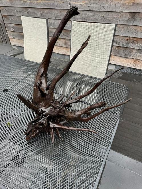 Zeer groot aquarium hout stuk, Dieren en Toebehoren, Vissen | Aquaria en Toebehoren, Zo goed als nieuw, Plant(en), Steen of Hout