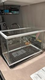 Aquarium, Animaux & Accessoires, Poissons | Aquariums & Accessoires, Enlèvement, Comme neuf