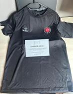 Matchworn en gesigneerd shirt Wesley, Ophalen of Verzenden, Nieuw, Shirt
