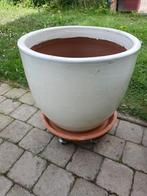 Pot céramique diam. 50cm + soucoupe et plateau à roulettes, Ophalen