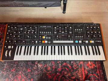 Moog Muse (Nieuw) beschikbaar voor biedingen