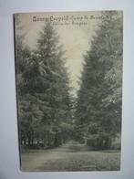 Postkaart Bourg-Leopold- Camp de Beverloo - Allée des soupir, Collections, Affranchie, Limbourg, Enlèvement ou Envoi, Avant 1920