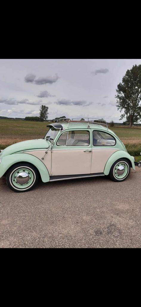 Vw kever 1965, Auto's, Volkswagen, Particulier, Beetle (Kever), Benzine, 2 deurs, Handgeschakeld, Beige, Kunstmatig leder, Ophalen
