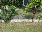 Betonnen omheinig, Tuin en Terras, Ophalen, Gebruikt