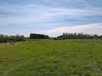 PENSION PRAIRIE ETE  BOX HIVER JUMENT ET PONETTE