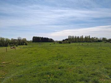 PENSION PRAIRIE ETE  BOX HIVER JUMENT ET PONETTE