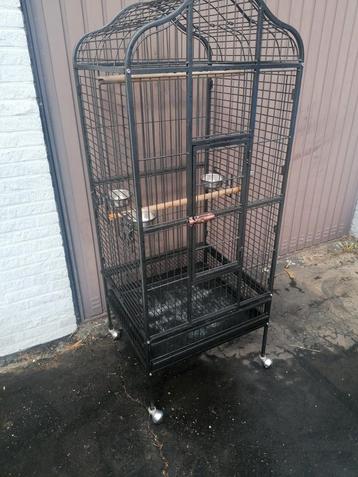 Papegaaien kooi beschikbaar voor biedingen