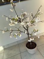 Kunstboom, Ophalen, Nieuw, Binnen