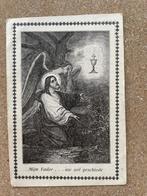 STAVELE/ CYRIEL DEVLOO 1881 overleden 1917, echtg DUJARDIN, Verzamelen, Ophalen of Verzenden, Bidprentje