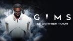 Ticket de concert gims a revendre paris nanterre 19/12/2025, Tickets en Kaartjes, Eén persoon, December