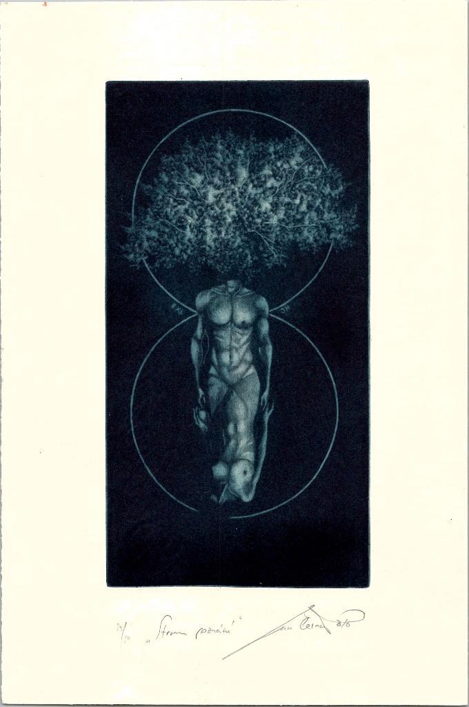 Ex Libris - Bookplate, Antiek en Kunst, Kunst | Etsen en Gravures, Verzenden