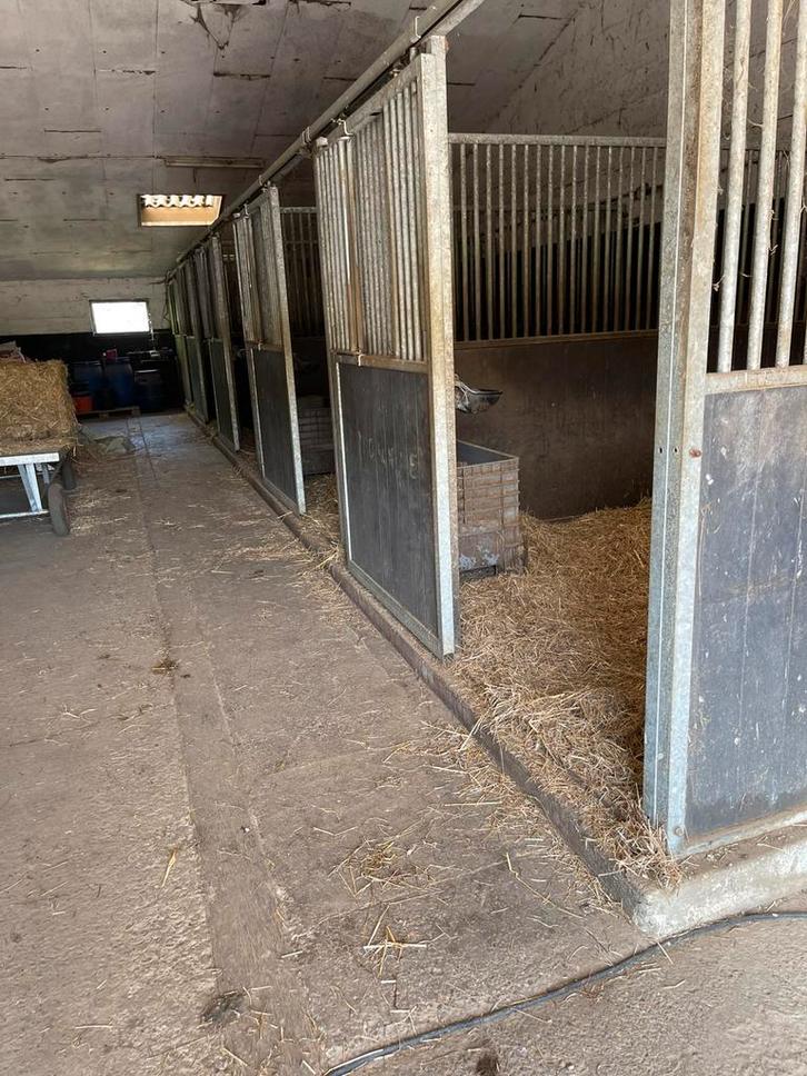 Stalling met weidegang en piste, Dieren en Toebehoren, Stalling en Weidegang, Stalling