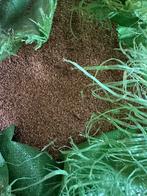 Granulé de liège 2-4 mm, Enlèvement, Neuf, Autres matériaux