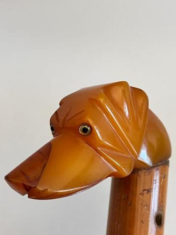 Prachtige Hondenkop handgreep in Amber Bakeliet - Catalin beschikbaar voor biedingen