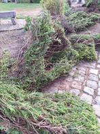 brandhoud, Tuin en Terras, Brandhout, Ophalen, Overige houtsoorten, Stammen