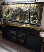 Terrarium terratlantis, Dieren en Toebehoren, Ophalen, Zo goed als nieuw, Terrarium of Paludarium