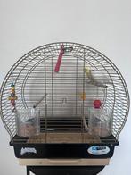 Papagaaien, Dieren en Toebehoren, Vogels | Hokken en Kooien, Ophalen, Gebruikt