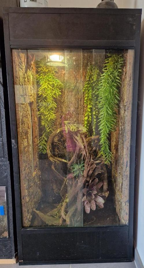 Grote mooie terrarium, Animaux & Accessoires, Reptiles & Amphibiens | Accessoires, Utilisé, Terrarium ou Paludarium, Enlèvement