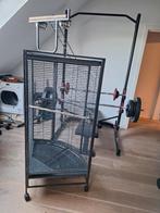 Papegaaienkooi met toebehoren, Dieren en Toebehoren, Ophalen, Zo goed als nieuw, Metaal, Vogelkooi