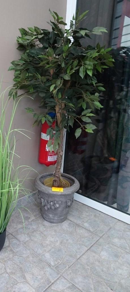 Emerald kunstplant in pot ficus deluxe te koop!Nwprijs: 191€, Huis en Inrichting, Kamerplanten, Ficus, 100 tot 150 cm, Groene kamerplant
