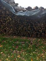 Bois de chauffage sec, Jardin & Terrasse, Bois de chauffage, Enlèvement, Hêtre