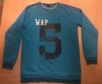 Trui maat 170, Kinderen en Baby's, Kinderkleding | Maat 170, Gebruikt, Trui of Vest, Ophalen of Verzenden, ANDERE