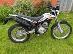 Bêta alp 125, Motoren, Particulier, 125 cc, Enduro, 11 kW of minder