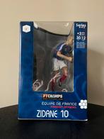Zidane XL - 30 cm - FTCHAMPS, Verzamelen, Sportartikelen en Voetbal, Ophalen of Verzenden