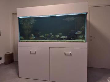 Aquarium 160*100*80 met rockzolid achterwand en fx6, Enlèvement, Comme neuf