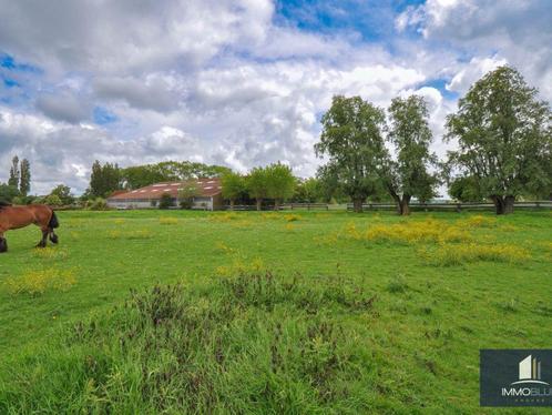 Huis te koop in Damme, Immo, Huizen en Appartementen te koop, Vrijstaande woning, F