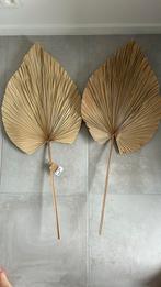 Blad waaier, Huis en Inrichting, Woonaccessoires | Droogbloemen, Ophalen, Nieuw